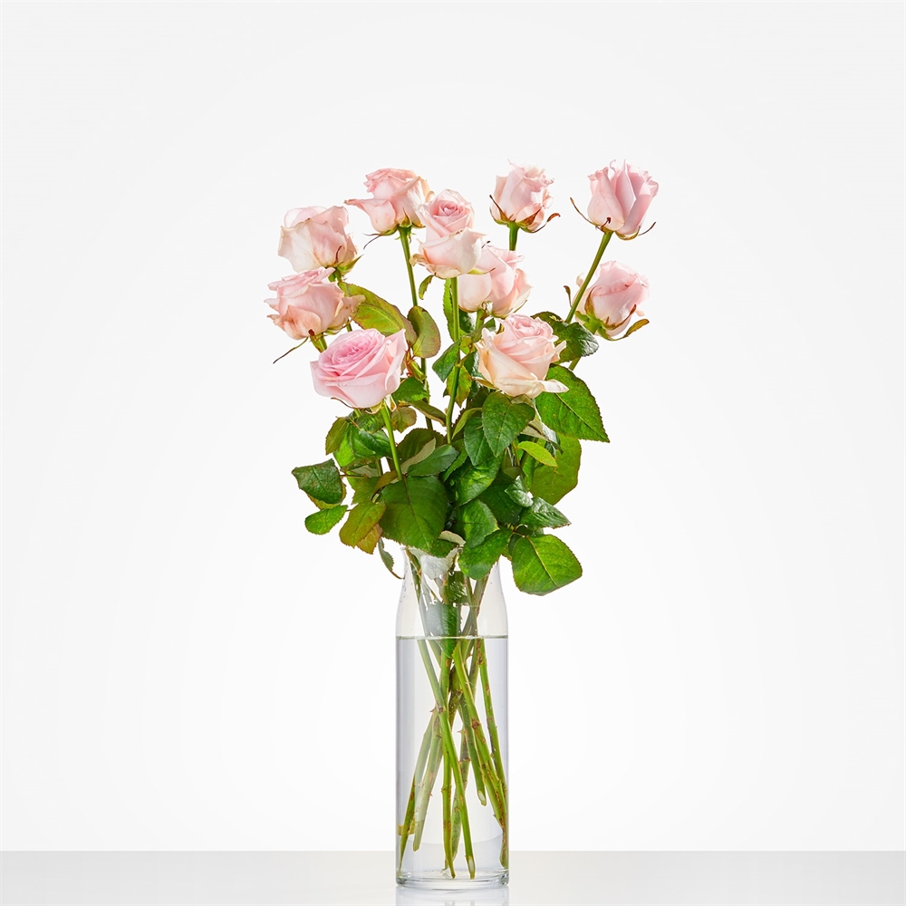 Losse roze rozen Losse roze rozen