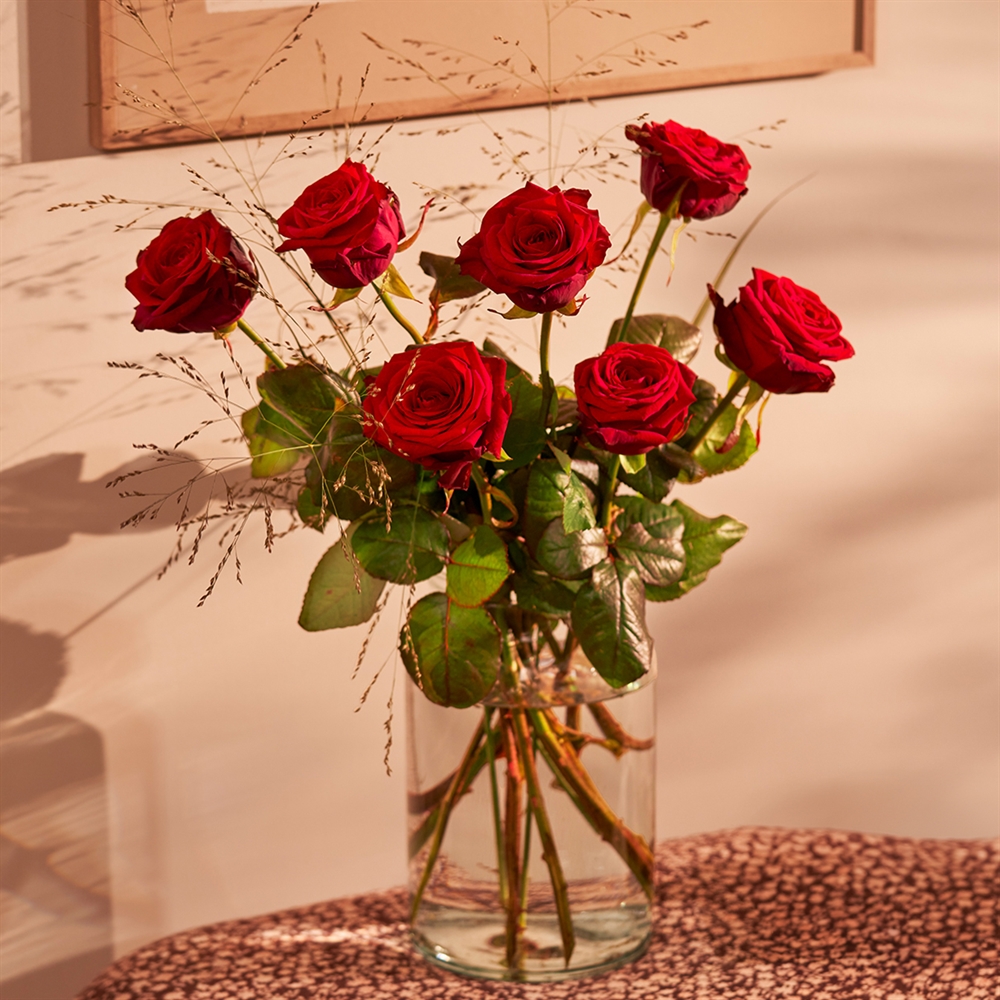 Losse rode rozen Losse rode rozen